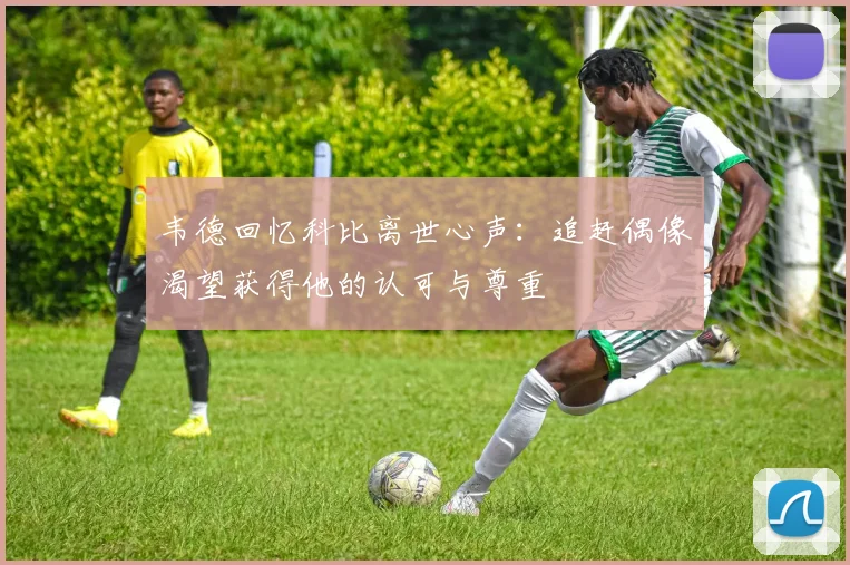韦德回忆科比离世心声：追赶偶像渴望获得他的认可与尊重