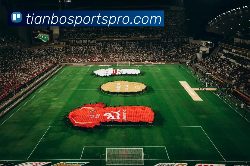 多媒体互动体验