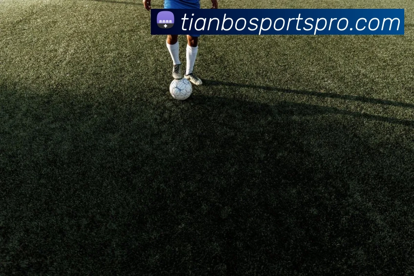 天博体育APP 高清赛事图